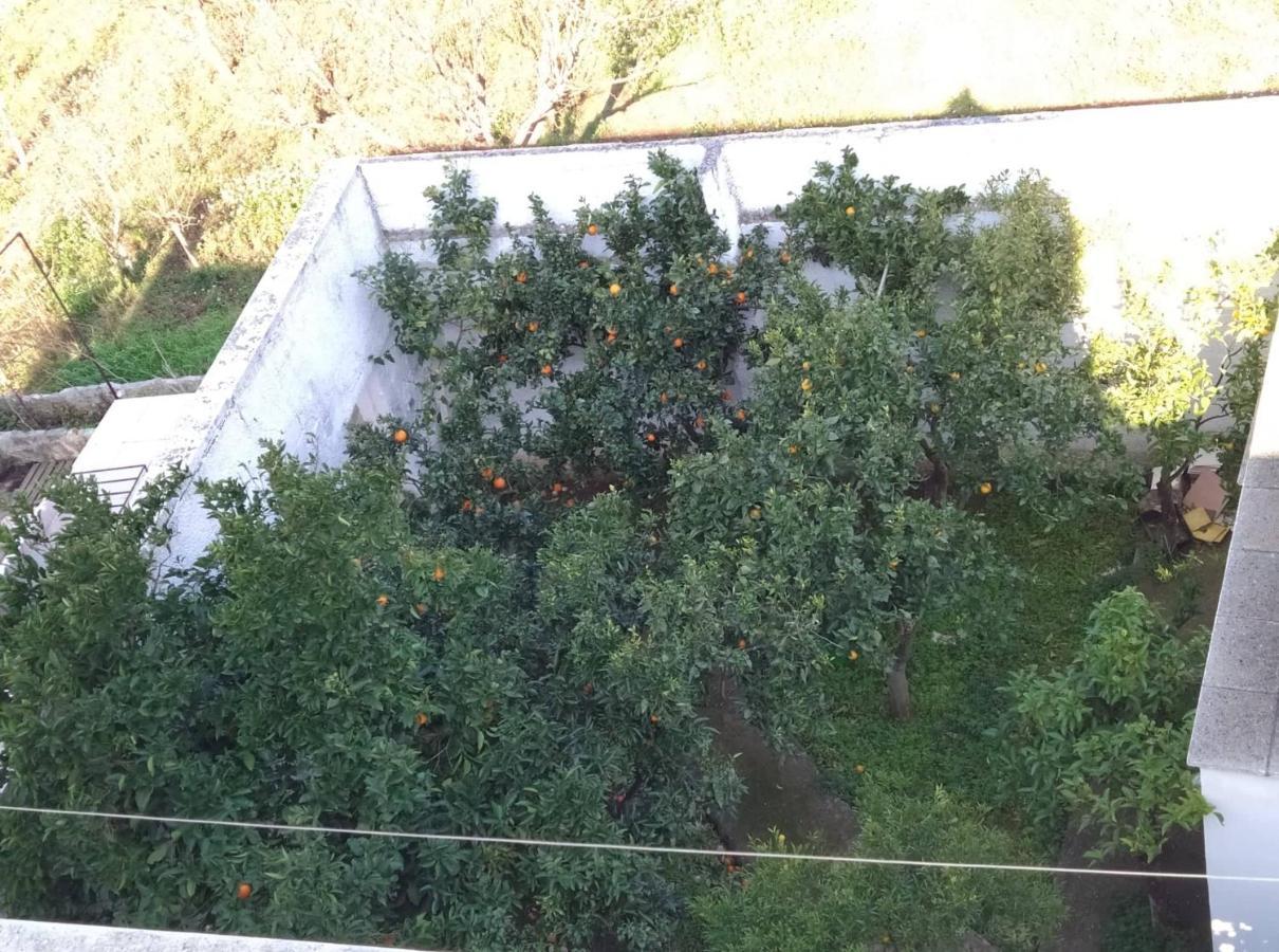 Villa Gardenia Ostuni Extérieur photo