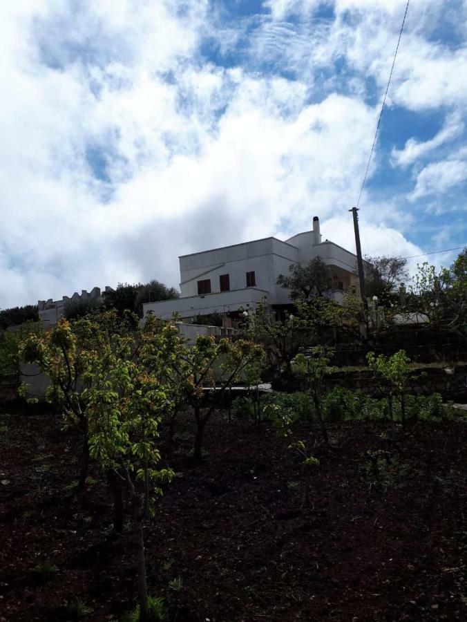 Villa Gardenia Ostuni Extérieur photo